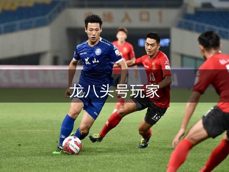 龙八头号玩家概况